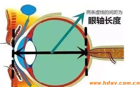 文章配图-1