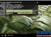 再见H.265！AV1格式正式启用 更清晰更快速