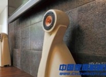 Cass Master 一对浑身散发艺术气息的音箱