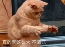 比鸡蛋大一圈的客厅影院音箱，蜗牛音响IW3+S10B套装试用评测
