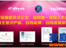 一个民族品牌的崛起----天逸音响